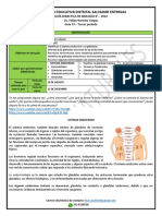 Institución Educativa Distrital Salvador Entregas