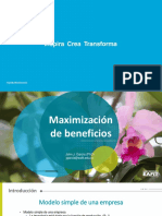 Maximización de Beneficios