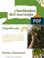 Curiosidades Del Naranjo