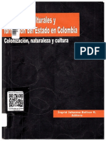 Identidades Culturales y Formación Del Estado en Colombia - Ingrid Johanna Bolivar