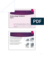 Embryo Syst 1. Dev of Muscle and Cavities Mb2