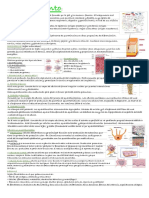 Apuntes Anatomia Tema 2