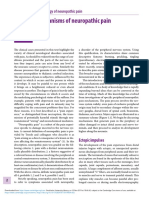 Mechanisms of Neuropathic Pain