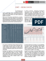 RCB MERCOSUR - Anual 2021