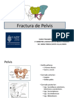 FX Pelvis, Sacro y Cóccix