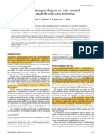 Aspectos Neuropsicologicos Del Danio Cerebral Difuso Adquirido en La Edad Pediatrica