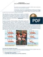 H-Biologia 2°3° Lamarck