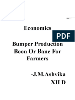 Economics Bumper Production Project Class 12