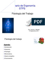 Seminario de Ergonomia STPS