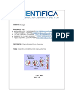 Informe - Video Final