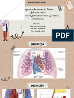 Irrigación e Inervación Del Pulmón. Aplicación Clínica (Auscultación Del Murmullo Vesicular y Estertores, Toracocentesis) - Sem11