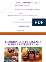 Elaboracion de Jaleas y Algunas Mermeladas