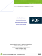 ¡¡Desde La Capacitación Hacía La Culturización en SST