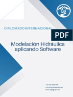 Brochure Diplomado