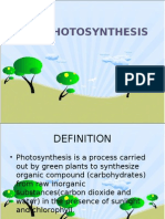 6.9 Photosynthesis