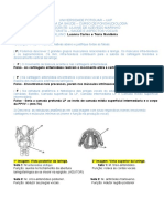 Atividade Voz Fon3ta U1 Setembro 2021