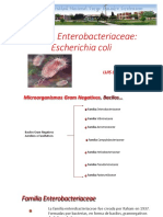 TEMA 6. FAM, ENTEROBACTERIACEAE. Escherichia Coli