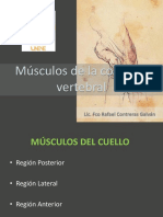 Músculos Del Cuello 