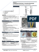 PARA 1.03 Nematodes I - Dra. Chiong-Rivera