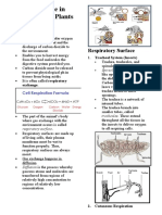 L3 Notes