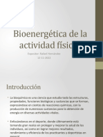 Bioenergética de La Actividad Física