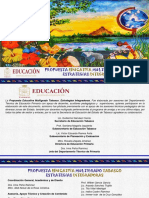 Propuesta Educativa Multigrado. Estrategias Integradoras v. Preliminar