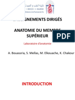 ED OstÃ© Ologie Du Membre Supã© Rieur