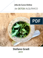 Apostila Do Curso Online - 9 Horas de Detox Alquímico