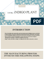 The Indigo Plant