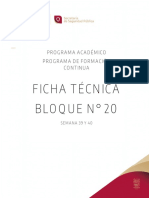 Bloque N. 20 TIRO POLICIAL