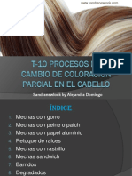 T 10 Procesos de Cambio de Coloración Parcial en El Cabello