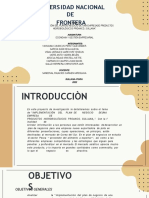 Implementación Del Plan de Negocio de Una Empresade Productos Hidrobiológicos Proanco, Sullana"