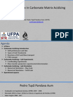 2022 - Carbonate Acidizing - Reactive Flow - UFRN R1