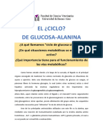 Ciclo Glucosa-Alanina