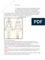 Unidad 1 Terminologia Anatomica