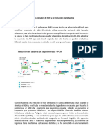 Practica PCR