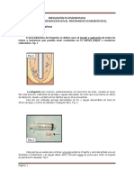 Irrigantes en Endodoncia Limpieza Y Desinfección en El Tratamiento Endodóntico. Autor: Od. Carvajal Mariana