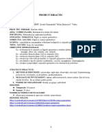 Proiect Didactic MEM Figuri Și Corpuri Geometrice