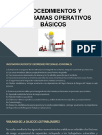 7.procedimientos y Programas Operativos Basicos y ISO 45001