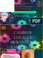 Cambios Locales Durante El Embarazo