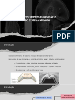 Aula 2 - Neuroanatomia - Desenvolvimento Do Sist Nervoso