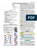 8° Guía 02 Taller - Genetica Humana