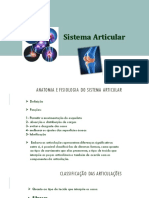 Sistema Articular e Muscular