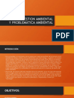 Sistema de Gestion Ambiental y Problematica Ambiental