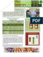 Sintesis Agrario 12 2016