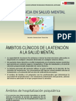 Ambitos Clinicos de Atención A La Salud Mental