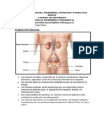 Eliminacion Urinaria e Intestinal