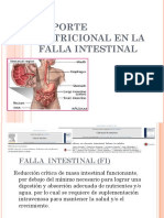 Falla Intestinal PDF 2022