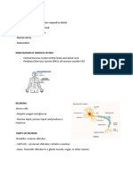 Nervous System - Reviewer