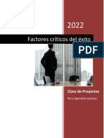 6) Factores Criticos Del Exito